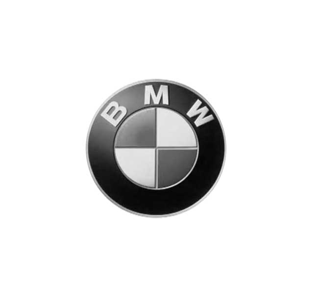 BMW Logo